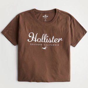 Women's Hollister Easy Print Graphic Logo Tee in Brown, Size XL